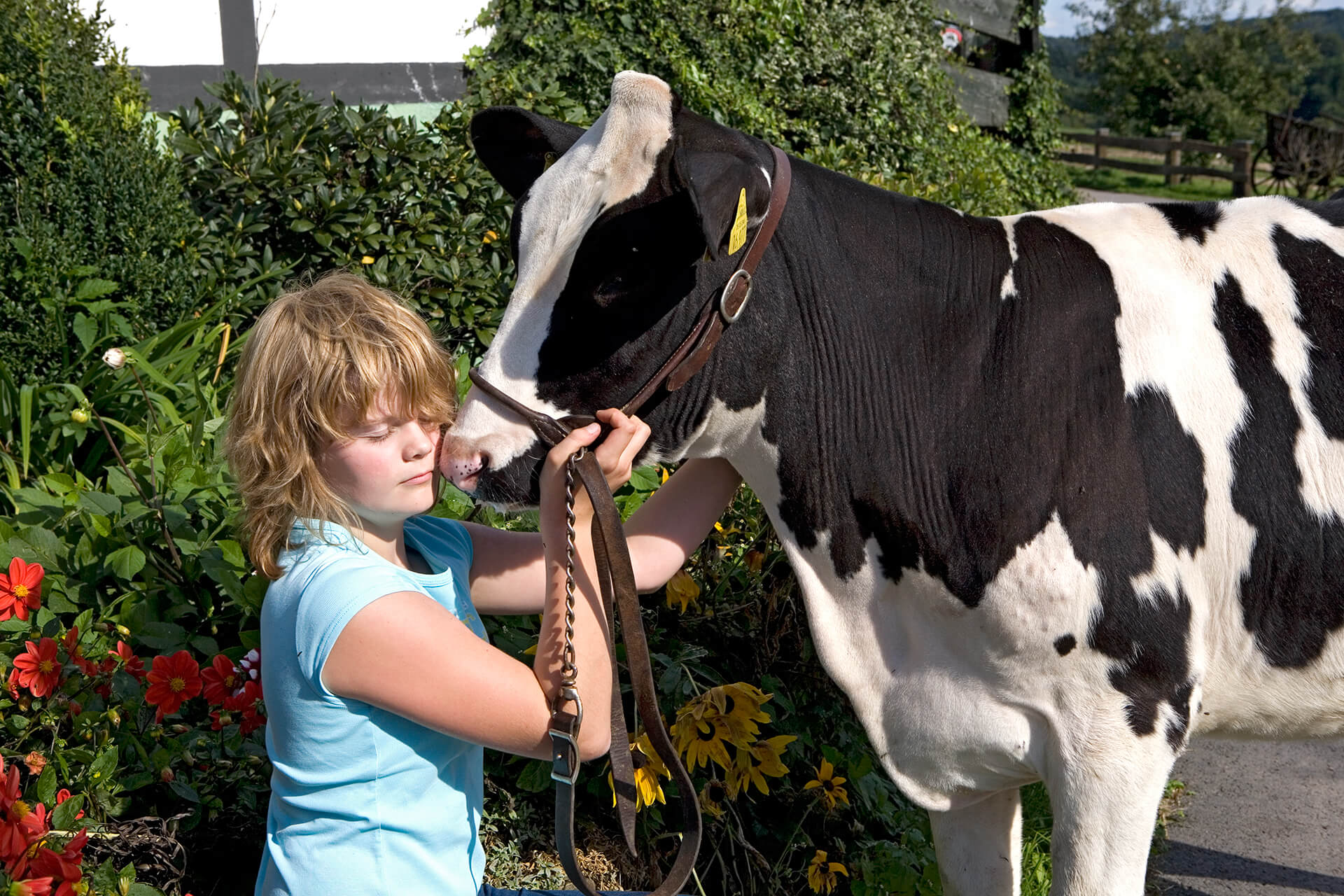 Katja NItsche - Fotografie - Landliebe - Campina AG