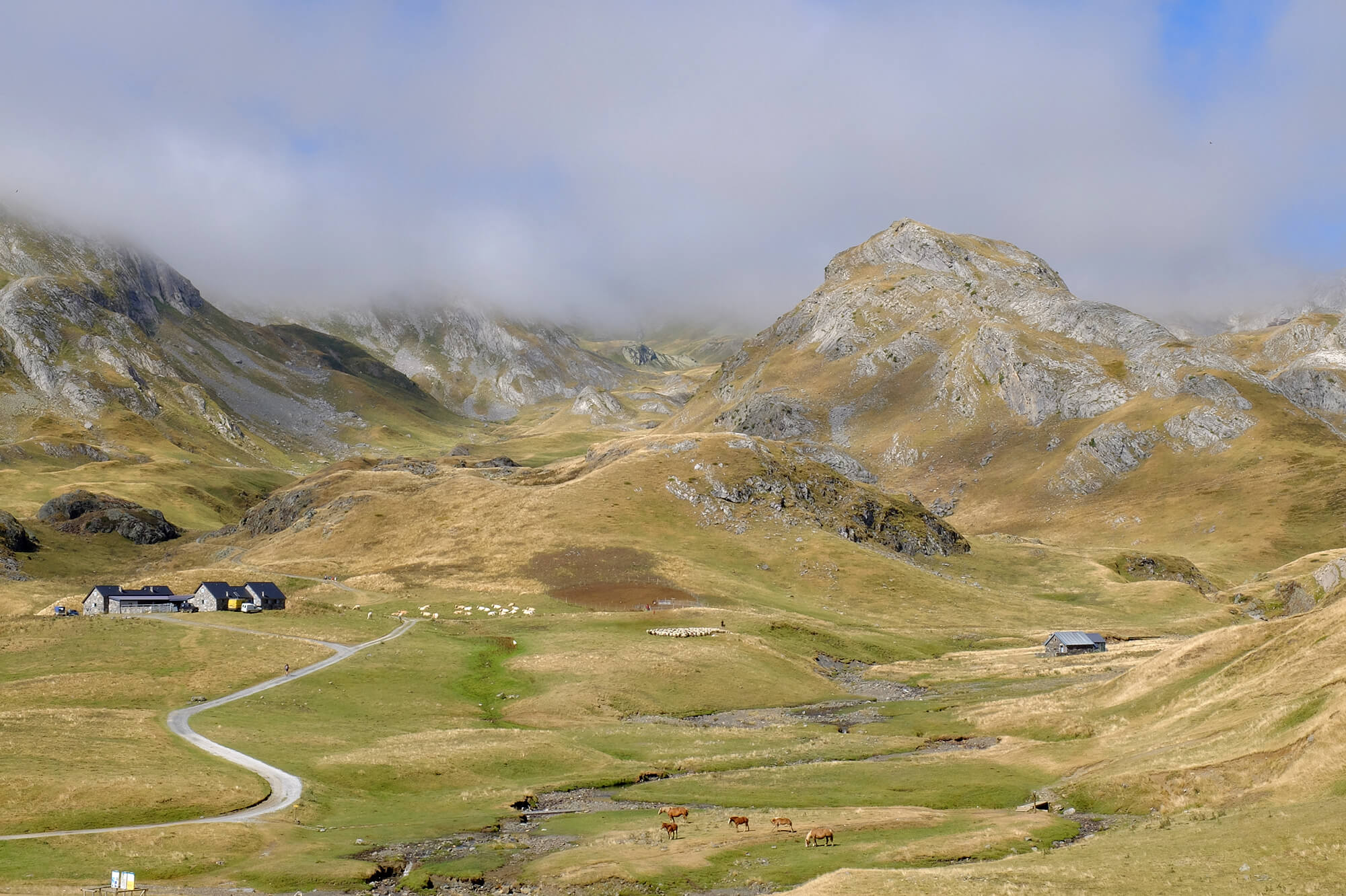Katja Nitsche // Fotografie, Hamburg